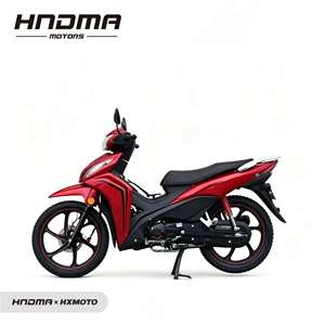 Une moto légère et à faible cylindrée de 125 cm³, très populaire en Amérique du Sud et au Moyen-Orient. - Product Image 3