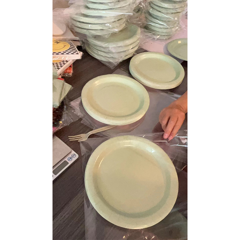 9 inch plate(20 pcs)