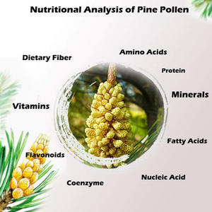 QINSHANTANG حبوب اللقاح الصفراء العضوية استخراج مسحوق حبوب الصنوبر المكملات الغذائية العشبية طبل العلامة التجارية الخاصة الصينية مسحوق حبوب لقاح الصنوبر - Product Image 5