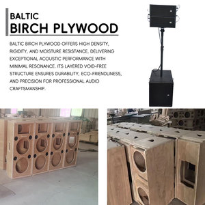 Bán buôn kép 5 inch dòng mảng Hệ thống loa với 15inch hoạt động Powered loa siêu trầm DJ Sân khấu tổ chức sự kiện cột mảng Loa Set - Product Image 5