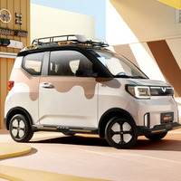 Precio de fábrica Venta directa SAIC Wuling Hongguang Mini Ev Mini coche eléctrico