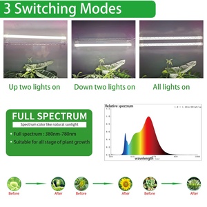 Nhà Máy Giá 20W 2 Dải Trong Nhà <span class=keywords><strong>LED</strong></span> Thay Đổi Độ Sáng Quang Phổ Đầy Đủ Migro Nhà Máy Phát Triển Đèn Ánh Sáng Đèn Với Đứng - Product Image 4