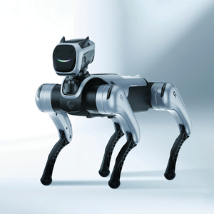 Mesin AI cerdas Dog Voice Dialogue lampu LED High-<span class=keywords><strong>tech</strong></span> APP Remote Control pemrograman - Product Image 4