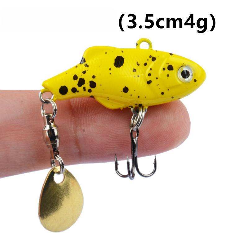 ตาสีดำ D