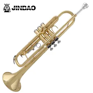 Factory Price JinBao TR-300 Yellow Brass Bb Key Standard practice Trumpet for Beginner