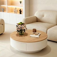 Ensemble de tables basses rondes modernes en métal avec rangement, design décoratif et portable pour salon et mobilier de maison