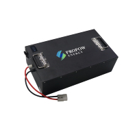 Batterie LiFePO4 60V 72V 60Ah 100Ah 150Ah 200Ah à longue durée de vie, étanche, pour tuk-tuk et rickshaw électrique