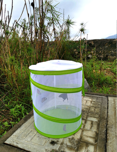 Büyük kelebek Habitat böcek örgü kafes Bug teraryum Pop up 12 "<span class=keywords><strong>X</strong></span> <span class=keywords><strong>20</strong></span>" katlanabilir kuş kafesleri - Product Image 5