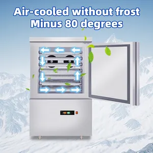 Geladeira congelante, restaurante, máquina de congelamento, 5 panelas, alta qualidade, congelador de explosão, geladeira comercial, pizza, resfriador de choque