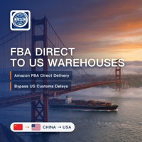 LHS Shenzhen vers les États-Unis : Service de logistique express avec droits de douane inclus, pour les saisons de pointe, rapide, fiable, le moins cher, très demandé