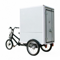 Tricycle électrique à 3 roues avec pneus larges pour adultes, vélo cargo robuste, nouveau tricycle cargo renforcé pour charges lourdes