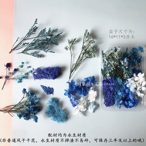 Kit de materiales para manualidades con flores preservadas para proyectos artísticos con múltiples opciones de color y flores secas - Product Image 3