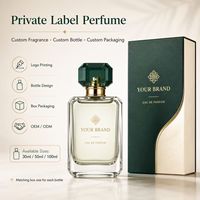 Parfum en gros personnalisé, spray corporel longue durée, senteur florale fruitée, marque privée, cadeau de parfum personnalisé