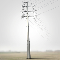 Tour monopôle en acier Q355B galvanisé à chaud 110 kV double circuit OEM pour ligne de transmission d'énergie