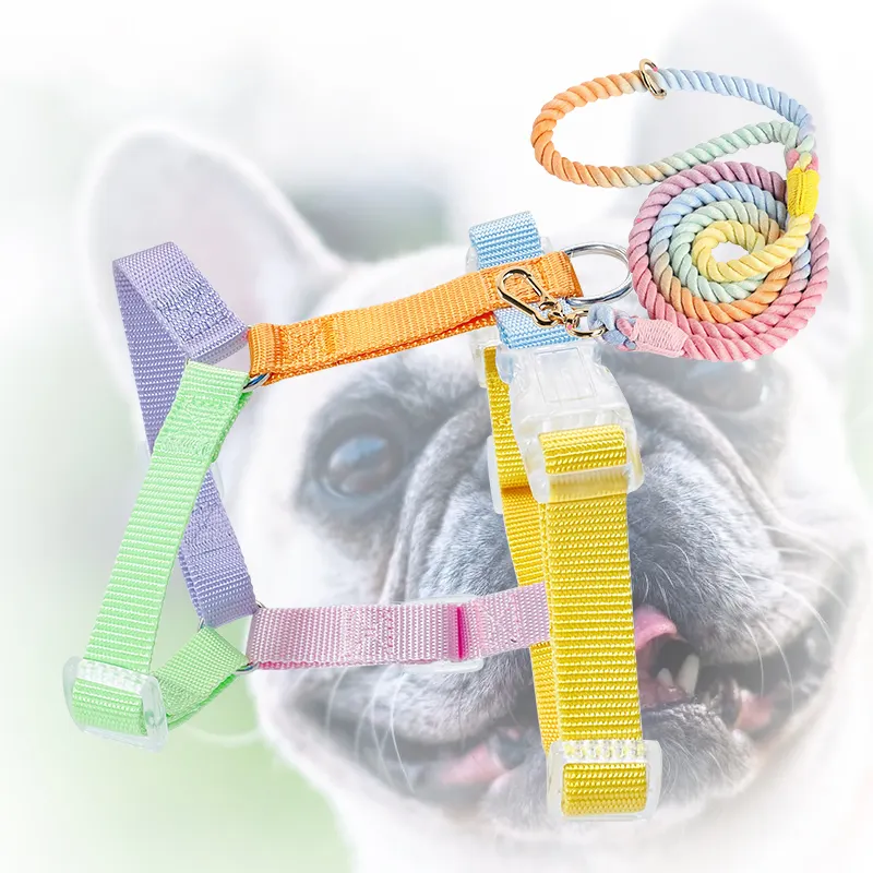 Wedtex fettuccia produttore cucito set di imbracature per animali domestici arcobaleno in Nylon personalizzabile per cani e gatti