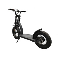 Trottinette de snowboard 16 "20" Trottinette électrique d'équilibre de patin à neige de fond