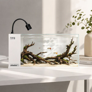 Aquário de Vidro Nano com Filtro Integrado Seco-Úmido e Luz LED Ajustável de 3 Cores para Mesa - Atacado de Fábrica, OEM/ODM - Product Image 1