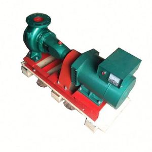 Groupe électrogène hydroélectrique horizontal à excitation sans balais, petit générateur hydroélectrique - Product Image 5