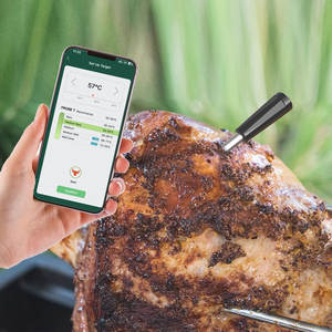 Termómetro Inalámbrico para Carne Lonnmeter con Clasificación IP68, Acero Inoxidable de Grado Alimenticio para Asar y Ahumar - OEM/ODM - Product Image 4