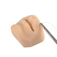 Modelo de enseñanza médica: modelo de boca de silicona para perforación, punción y práctica de sutura