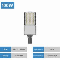 Lampadaire LED en aluminium 50W à CCT réglable par télécommande, anti-corrosion, pour parking, autoroute, route extérieure