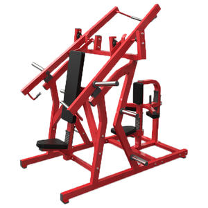 Equipo de Gimnasio con Placas de Peso Maxim Strength de Doble Función para Press de Pecho y Dominadas - Product Image 1