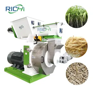 RICHI 2024 neues Design Zuckerrohr-Bagasse-Pelletiermaschine für Zuckerrohr-Bagasse Pellets zur Verbrennung von Biokraftstoff