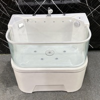 Nouvelle baignoire acrylique autoportante pour animaux de compagnie baignoire de Massage intérieur thermostatique bébé Spa pour surfer avec fenêtre en verre chien piscine Spa