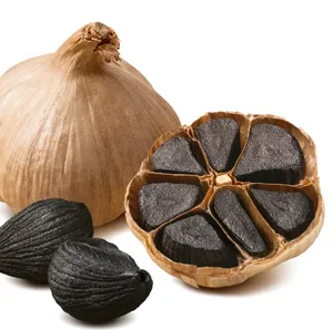 Black Garlic Powder High Quality Black Garlic Powder
