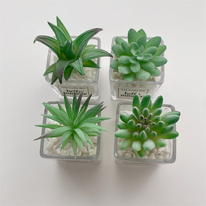 Mọng nước Giả Cây Nhân Tạo Trong Chậu Mọng Nước Nhỏ Greeny Nhà Máy Cây Cảnh Mọng Nước Khác Nhau Với Nồi Vuông - Product Image 4