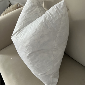 Tùy Chỉnh Kích Thước Mịn Xuống Bằng Chứng Bông Đệm Giường Gối Chèn Vịt Lông Điền Gối Trang Trí Gối Chèn Cho Giường - Product Image 5