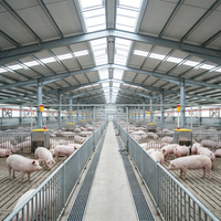 Conception modulaire durable pour bâtiments avicoles et porcins, installation facile, construction de ferme porcine préfabriquée en acier.