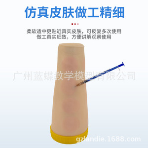 Modèle avancé d'injection intradermique du bras ; modèle d'entraînement pour tests cutanés ; injection sous-cutanée ; modèle d'entraînement ; modèle de bras - Product Image 5