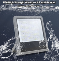 Projecteur extérieur IP66 50 Watts avec boîtier en aluminium gris