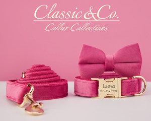 Ensemble collier et laisse pour chien en velours uni personnalisé avec nom d'animal gravé, clochette et nœud en velours pêche, livraison gratuite - Product Image 3