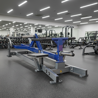 Machine à Rameuse T-Bar à Charge Libre pour Salle de Sport Commerciale – Équipement d'Entraînement du Dos, Musculation et Fitness