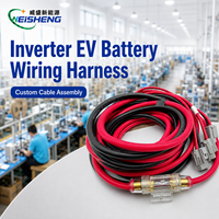 Harnais de câblage personnalisé pour onduleur de VE, assemblage de câbles d'alimentation pour stockage d'énergie de batterie, faisceau de câblage haute tension OEM