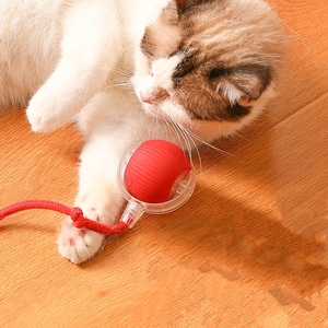 Elektrikli başlatıcısı dayanıklı otomatik hareket aktive akıllı tenis evcil Chew oyuncaklar kedi elektrikli haddeleme topları kedi top oyuncak kediler için - Product Image 6