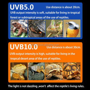 Lampu bohlam reptil E27 sangat dianjurkan 13W UVB5.0 untuk reptil amfibi - Product Image 6