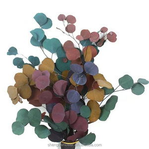 Naturale essiccato eucalipto populus foglie di mela tecnologia conservata essiccazione per fiori decorativi ghirlande e piante <span class=keywords><strong>rose</strong></span> - Product Image 5