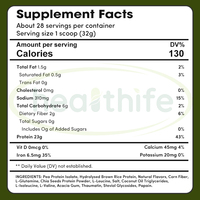 Poudre de protéines végétales Healthife OEM, mélange de protéines végétales à base de riz et de chia avec BCAA et L-glutamine