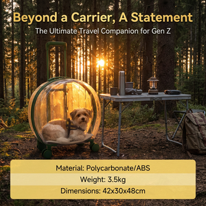 Grosir modis transparan plastik hewan peliharaan kucing casing penerbangan gaya Solid kucing portabel tas bagasi untuk keluar dan perjalanan - Product Image 6