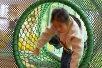 Équipement de jeux d'intérieur sur le thème de l'arbre, balançoires, jeux d'escalade, filets ou murs d'escalade, trampoline pour enfants