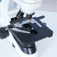 Carbon Black Dispersion Tester for Plastic Pipe PE PP Material Dispersion Analysis Laboratory Equipment