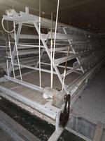 Poulailler préfabriqué en structure acier pour ferme, avec cage à poules pondeuses et système de collecte automatique des œufs
