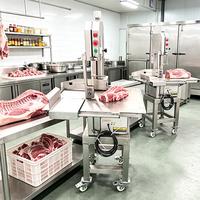 Machine à scier les os YouBan certifiée CE à haute efficacité - Coupe-viande et poisson congelé professionnel