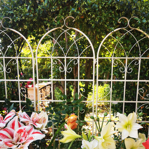 USA Warehouse 2026 Trending <b>Decorative</b> Metal Garden Fence Panel Scroll Trellis Ornamental Gates Yard Border Privacy <b>Screen</b> - Product Image 1
