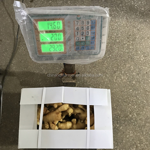 Pembeli jahe baru impor dari pabrik Cina harga rendah - Product Image 2