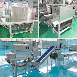 Equipo para Uso en Restaurantes, Peladora de Cebolla Roja, Peladora de Ajo, Máquina Industrial para Pelar Ajos, Máquina para Pelar Ajos para el Hogar - Product Image 2