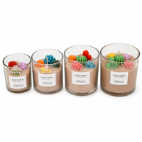 Bougie succulente FTQS dans un bocal en verre, avec cactus en cire, parfum d'ambiance pour la maison, cadeau décoratif, vente en gros, OEM, marque privée